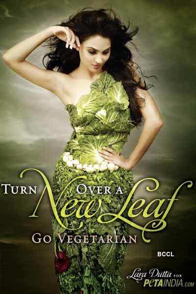 Celebs going green Pics | Celebs going green Photos | Celebs going ...