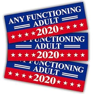 Anley 9 X 3 inch Any Functioning Adult 2020 Decal - Car and Truck ...