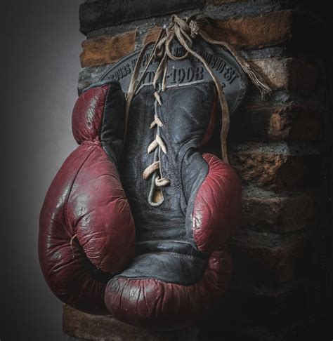 Boxing Lesson 的图像结果