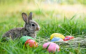 Image result for Easter Bunny Eggs and Flowers Images