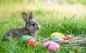 Image result for Easter Bunny Pan Ting Eggs