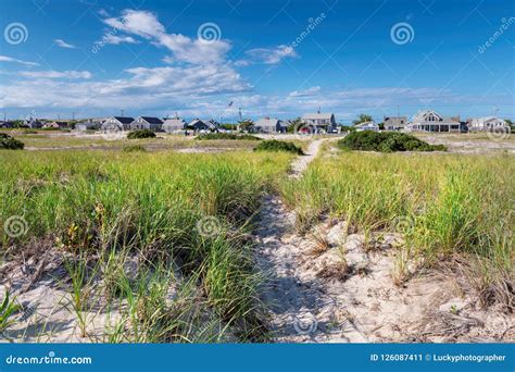 Cape Cod Beach 的图像结果