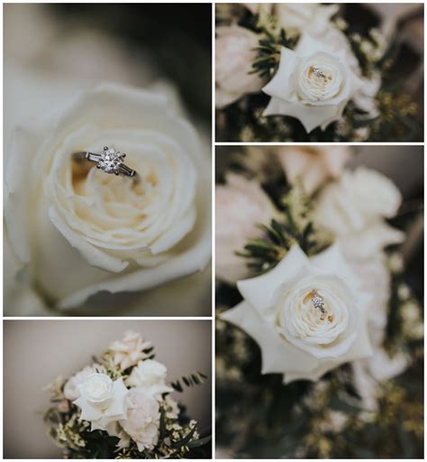 Tay and Francis Photography - Hinterland Tourism Sunshine Coast