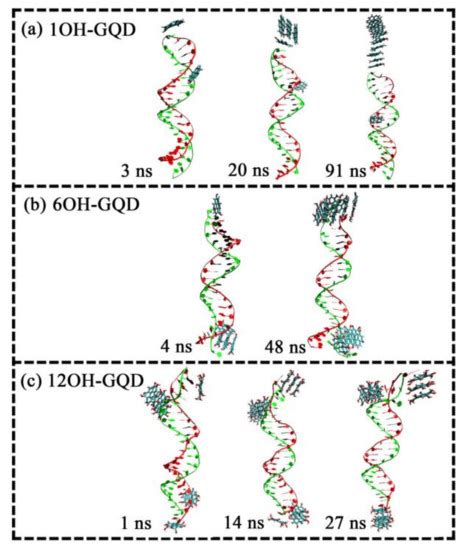 Molecular Dynamics Simulation of the Interaction between Graphene Oxide ...