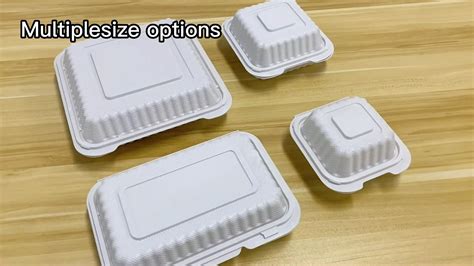 Restaurant Supply To Go Disposable Biodegradable Take Away Containers ...