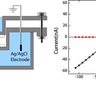 CMOS Chip 的图像结果