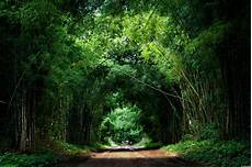 Images Of by Got 5 Minutes Meditate In A Garden Huffpost Images Of