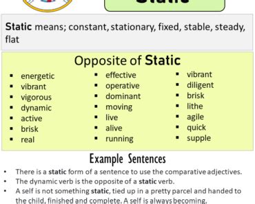 Opposite Of Professional, Antonyms of Professional, Meaning and Example ...