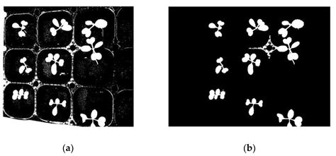 A Study on Modular Smart Plant Factory Using Morphological Image Processing