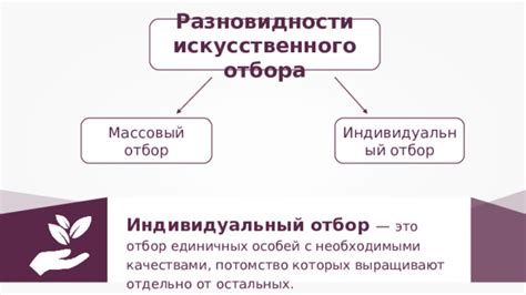 Презентация по биологии: "Методы селекции, их генетические основы"