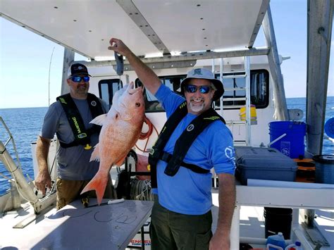 Image result for Red Snapper Fishing