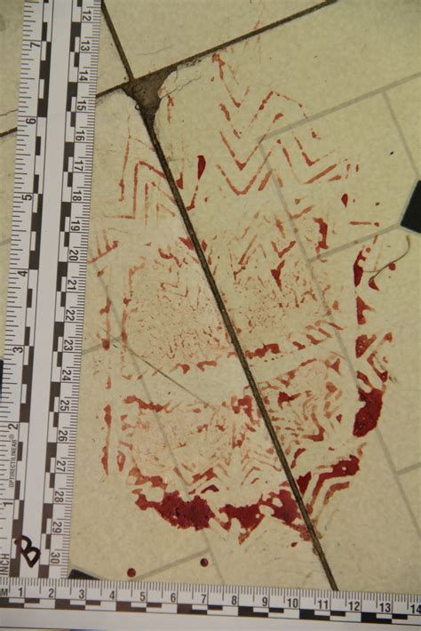 Forensic Science Classification of Crime Scenes 的图像结果