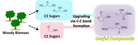 A Novel Strategy for Biomass Upgrade: Cascade Approach to the Synthesis ...