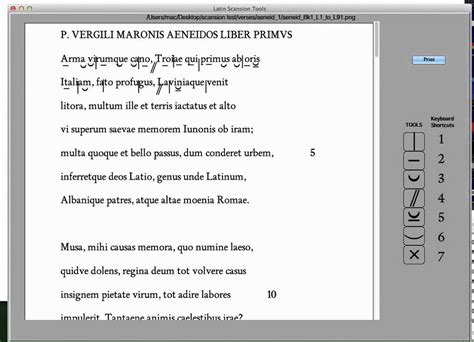 Image result for Latintutorial Scanscion