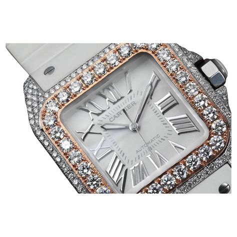 Diamond maxx diamond bezel watch online