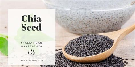 manfaat konsumsi chia seed setiap hari