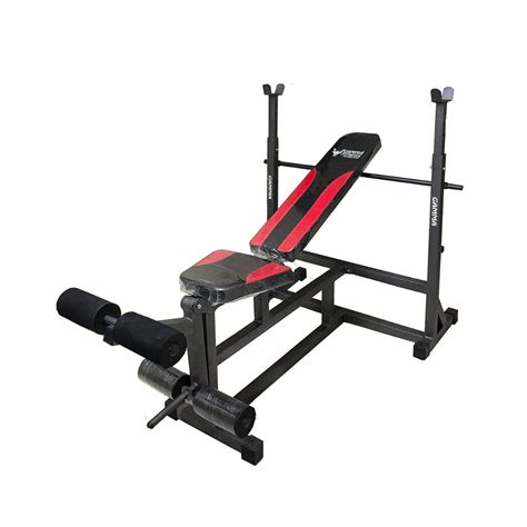 Multi Adjustable Bench for Home Gym Purpose - Incline/Flat/Decline Ben ...