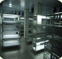 Garden Walkthrough Website Template