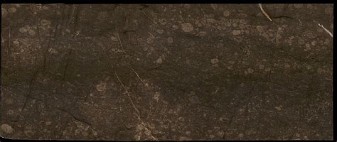 Buy fossil brown marble | Brown color marble for floor & wall | Nitco