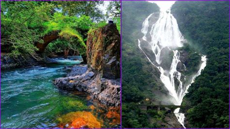 Goa Wildlife Safari: Discovering Biodiversity and Nature Reserves - Hillw