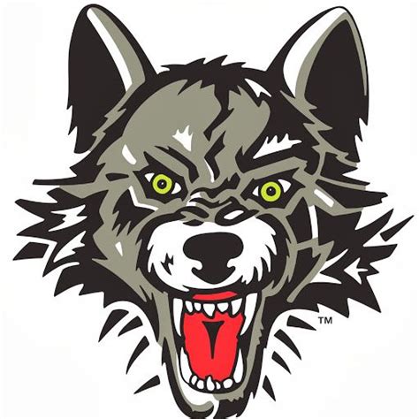 Image result for Chicago Wolves Logo