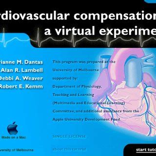 Programme Multimedia 的图像结果