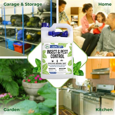 Mighty Mint Natural Peppermint Insect & Pest Control - 1 Gallon