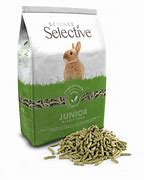 Image result for Jolly Baby Rabbit Food