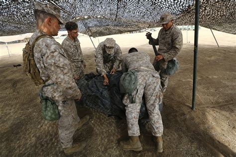 Command Post Training 的图像结果