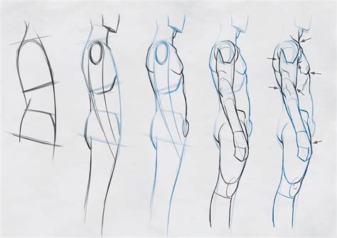 Side View Reference 的图像结果