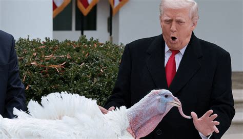 The one thing you need to ask your MAGA relatives at Thanksgiving