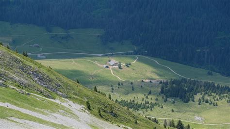Download wallpaper 3840x2160 valley, trees, grass, mountains, slopes ...
