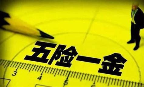 网新恩普成功中标湖南省本级2020年度五险统一征缴运行维护服务项目