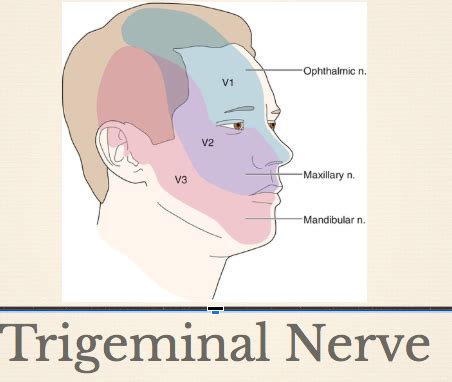 Image result for String ENT