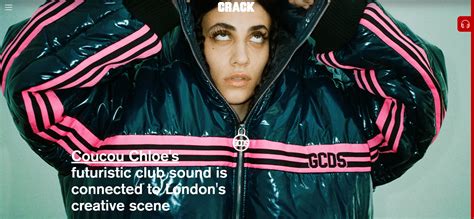 WordPress Coder 的图像结果