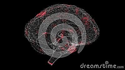 Image result for Add Brain Scan