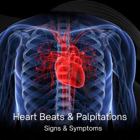 Understanding Heartbeats and Palpitations: Causes, Symptoms, and Treatments