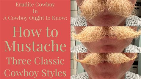 Image result for Basic Article Example