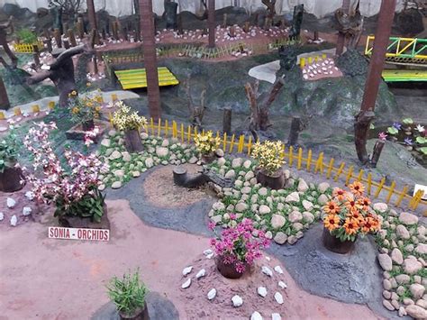 Thread Garden (Ooty) - 2020 What to Know Before You Go (with Photos ...