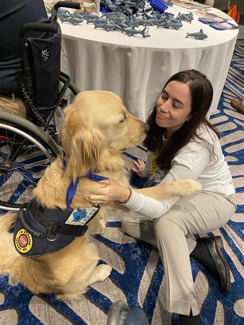 Guardianship Alternatives – DIAL IT UP!