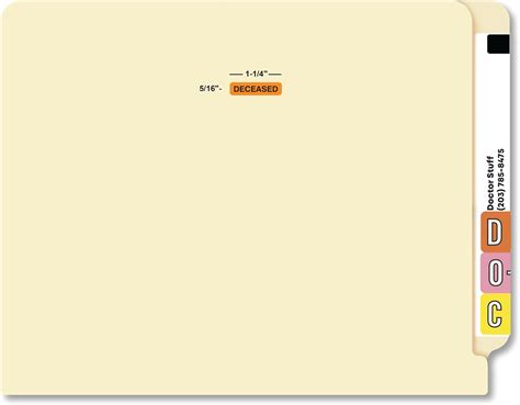 Buy Doctor Stuff - File Folder Chart Labels, MAP199, Deceased, Medical ...