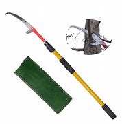 Image result for Pruning Pole saw and Lopper