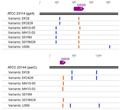 Defining Fluoroquinolone Resistance-Mediating Mutations from Non ...