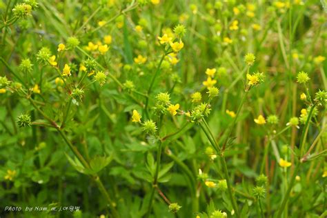 Image result for Test Spring Squareness
