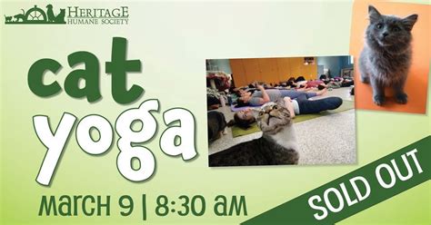 Cat Yoga, 430 Waller Mill Rd, Williamsburg, VA, United States, Virginia ...