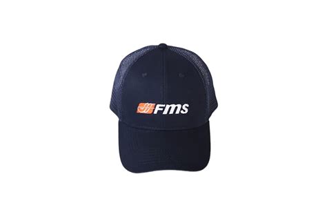 Image result for FMS Model Planes