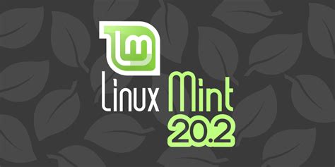 Image result for Linux Mint 20.2