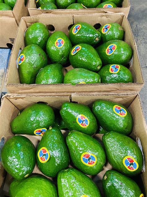 Exp. Group LLC - Worldwide group based on companies based all across ...