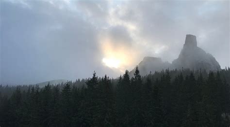 CABANA RARAU (Campulung Moldovenesc) - Hotel Reviews & Photos - Tripadvisor