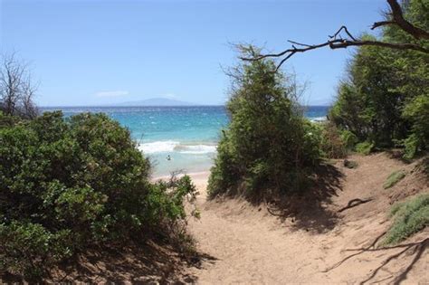 NO CLOTHES, NO PROBLEMS! - Reviews, Photos - Little Beach - Tripadvisor